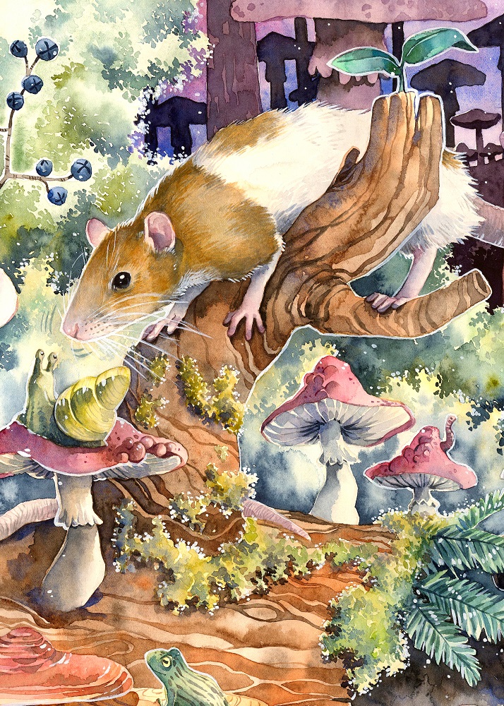 Print - Rat Sniffing a Snail